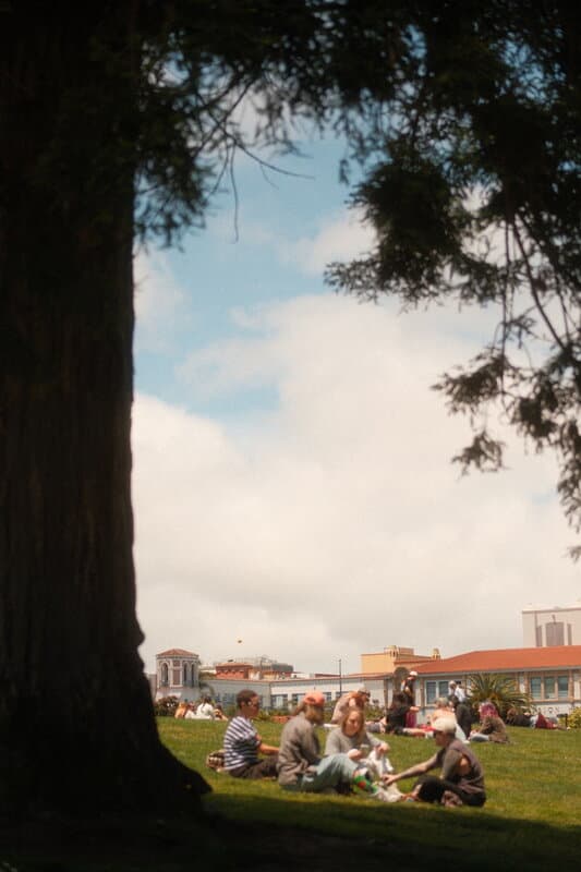 A picnic in Dolores Park
